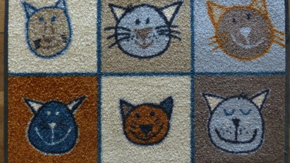 Astuces de professionnels pour le nettoyage de tapis