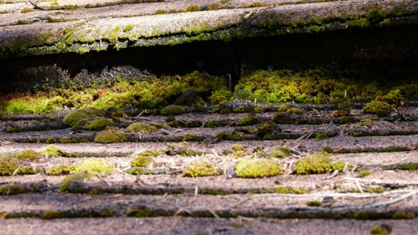 Comment parvenir à assainir une maison humide ?