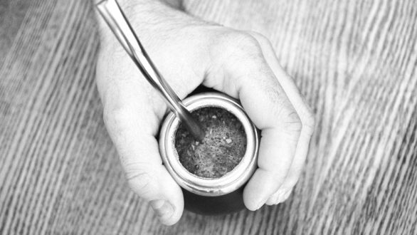 Les multiples vertus du yerba maté