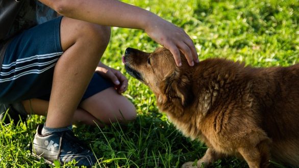 Comment avoir un chien peut améliorer la santé de vos enfants ?