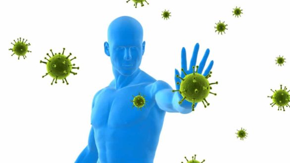Des conseils pour renforcer le système immunitaire