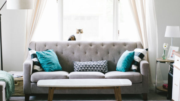 Maison et déco : les tendances à suivre