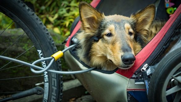 Les avantages de l’exercice du cyclisme