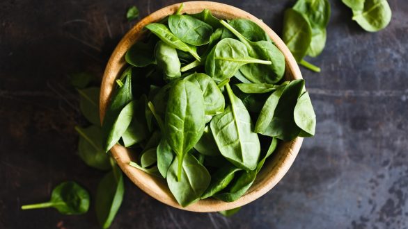 Découvrez nos conseils avant d’acheter votre spiruline bio