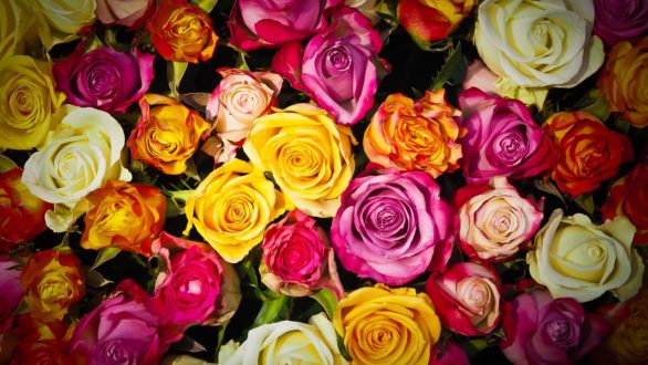 Notre guide pour tout comprendre sur la livraison de fleurs à domicile