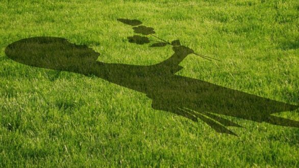 Rotofil thermique : tout ce qu’il faut savoir avant d’acheter