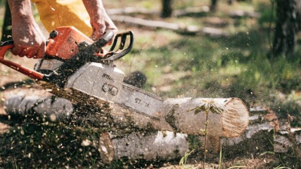 Découvrez les performances exceptionnelles des tronçonneuses Greencut : Un avis approfondi