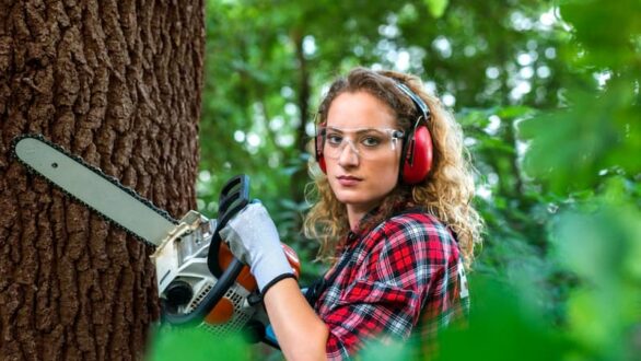 Taille d’arbustes : le guide ultime des outils essentiels